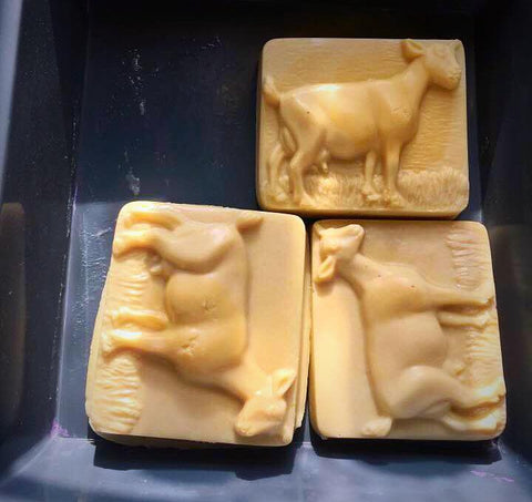 Goat Soap