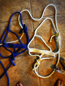 Mule Tape Halter