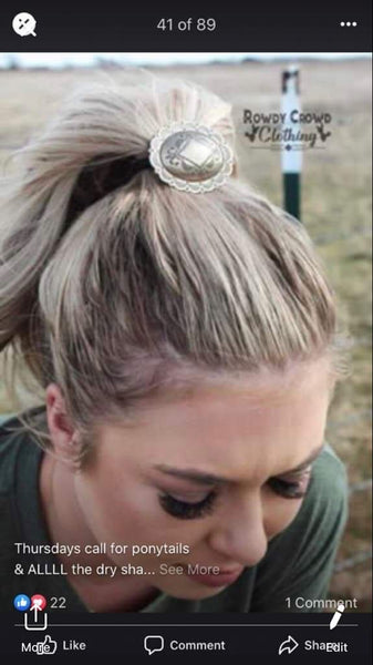 PonyTail Holder